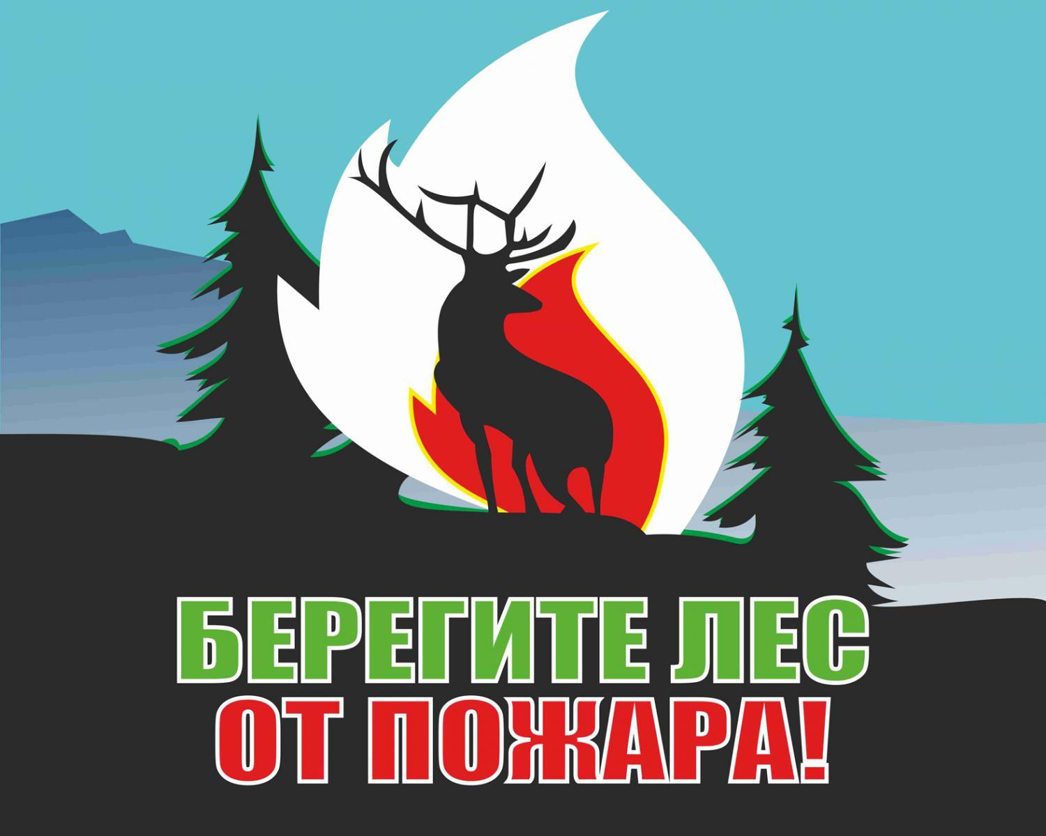 Соблюдение пожарной безопасности в лесах.