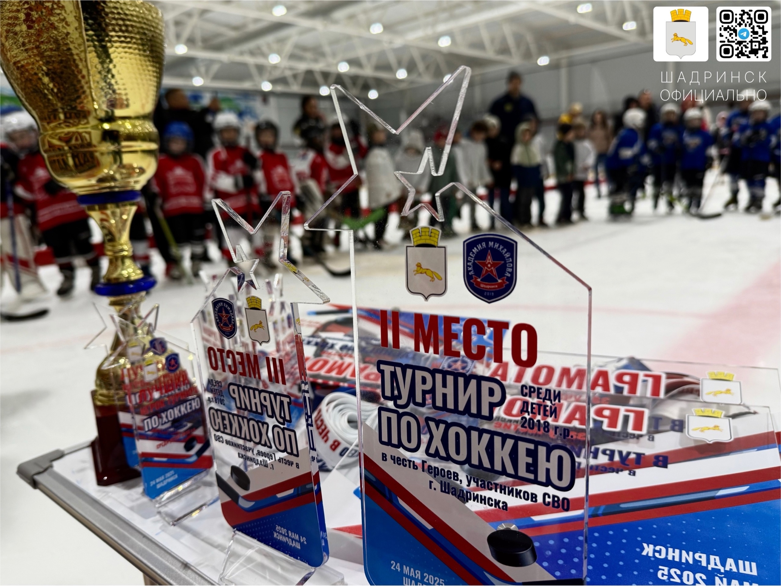 Воспитанники шадринского филиала АКМ завершили свой первый сезон.