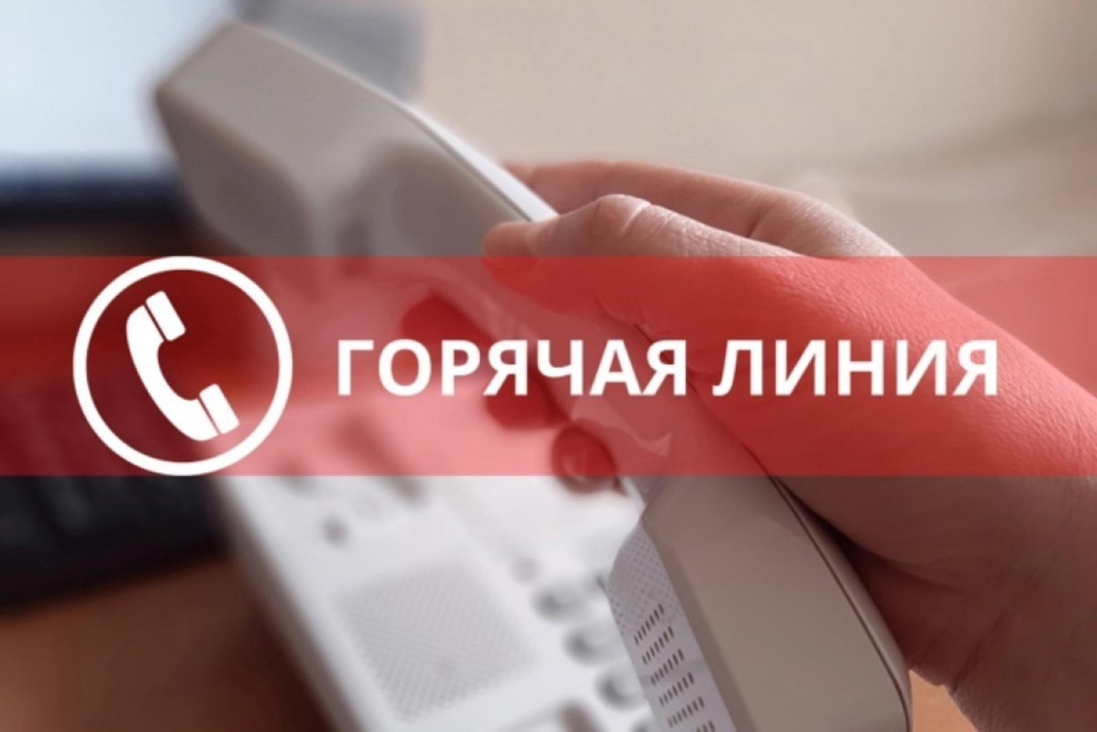 Горячая линия по вопросам профилактики клещевого энцефалита и других инфекций, передающихся клещами, открыта с 28 апреля по 11 мая.