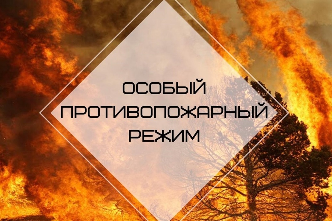 В Курганской области с сегодняшнего дня действует особый противопожарный режим.