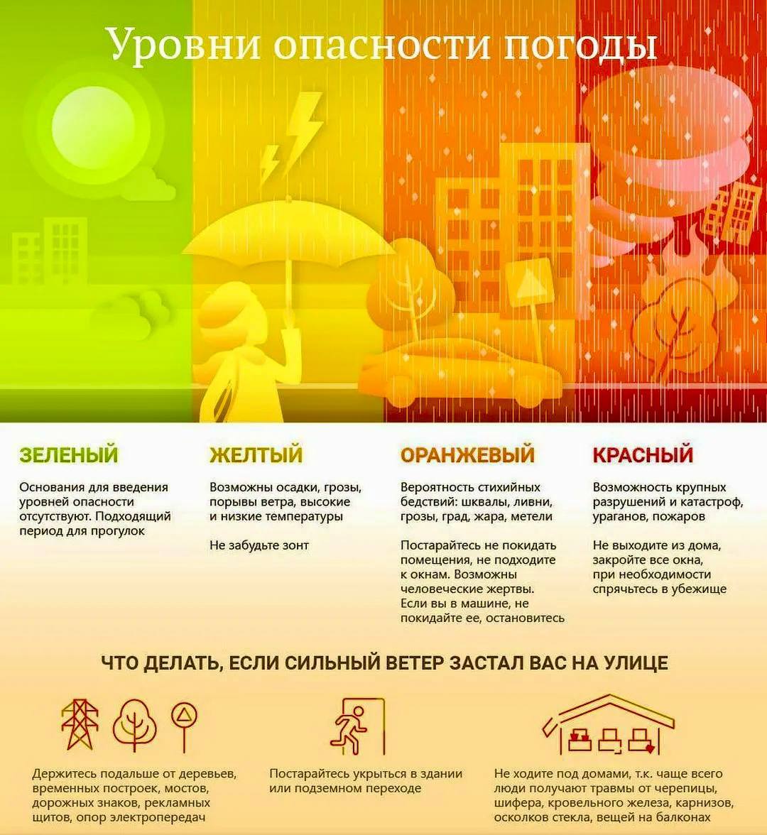 В регионе введен оранжевый уровень погодной опасности из-за прогнозируемого сильного ветра. Воздержитесь от дальних поездок!.