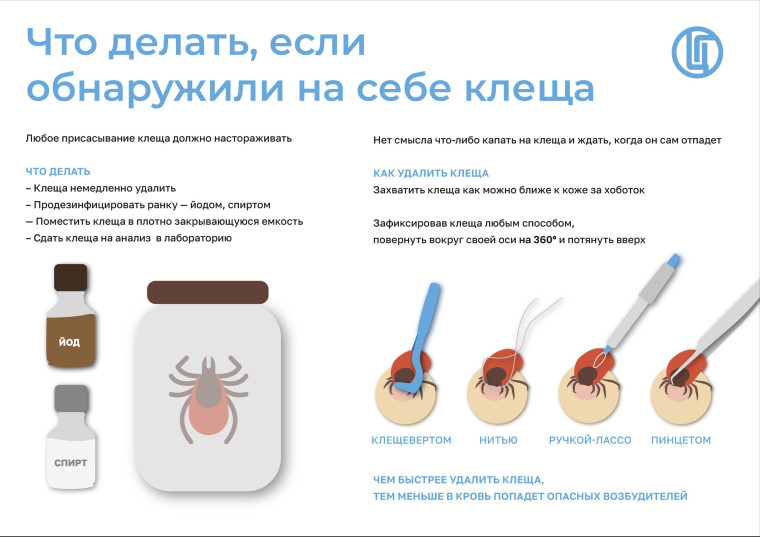 Куда обратиться, если укусил клещ?. Куда обратиться, если укусил клещ?.